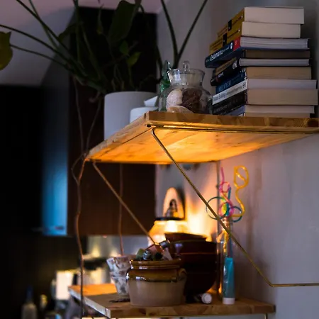 Living With The Host And The Dog Comfortable Double In A House In Rum i privatbostad *